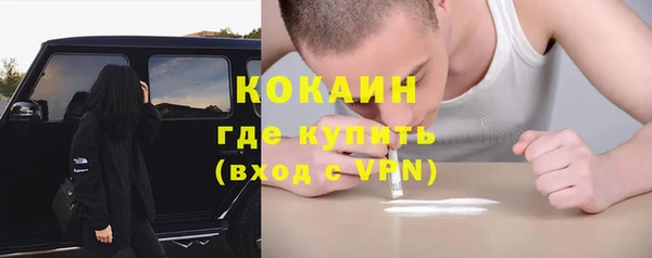 амф Вяземский