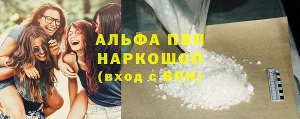 амф Вяземский