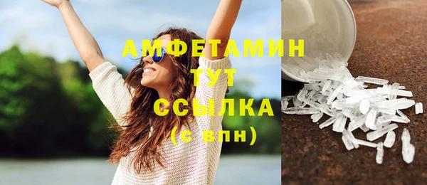 амф Вяземский