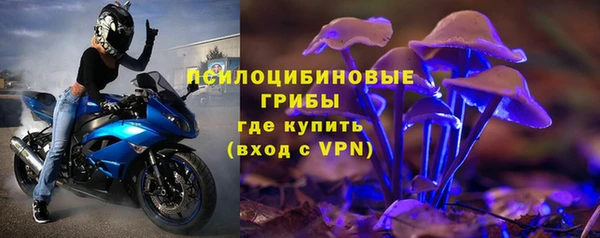 амф Вяземский