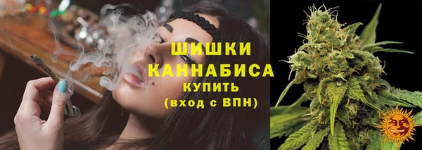 амф Вяземский