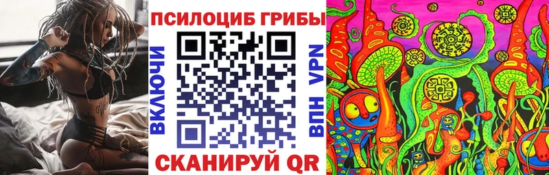 Псилоцибиновые грибы Cubensis  Севастополь 